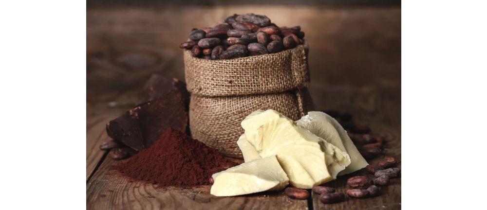 Characterizing Cocoa Powder