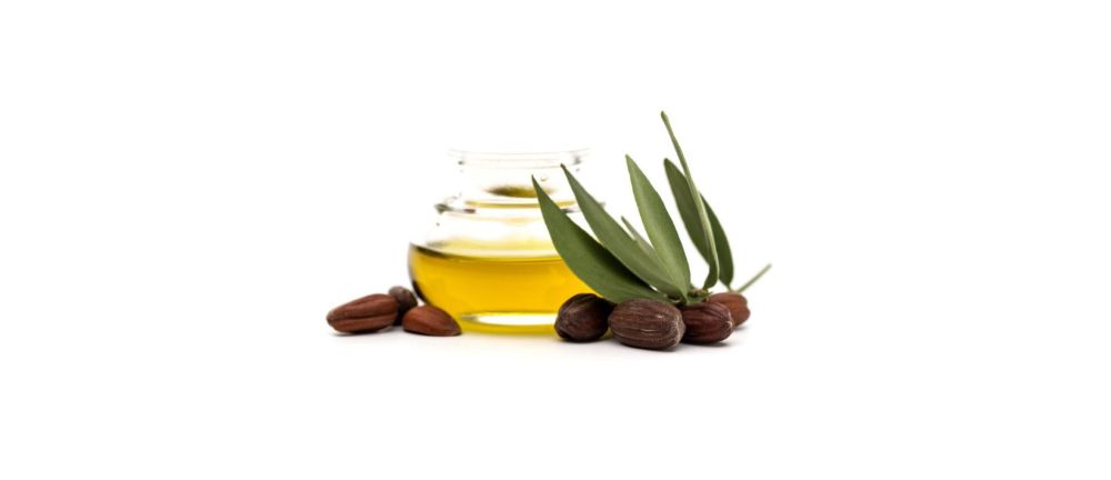 Synopsis: Jojoba Oil