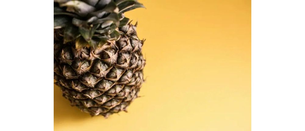 Synopsis: Pineapple Fiber Powder