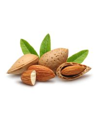 Almond Oil - Sweet Virgin Kosher