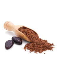 Cocoa Powder Dutched 10/12 Fat - Organic