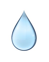 Oleic Acid 75% - Organic