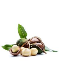 Macadamia Nut Oil - Virgin Organic