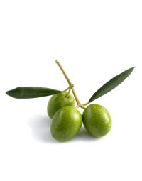 Squalane Oil - Olive 