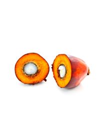 Palm Kernel Oil - Organic RSPO IP