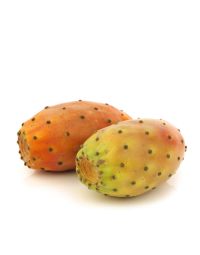 Prickly Pear Seed Oil - Virgin Organic