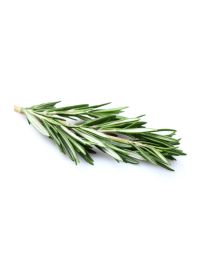 Rosemary Oil - Organic