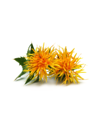 Safflower Oil - High Oleic Organic