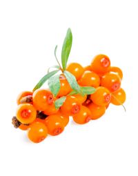 Sea Buckthorn Fruit Oil - Virgin Organic