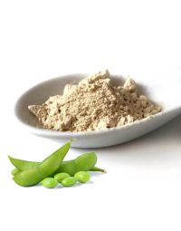 Soy Lecithin - Powder Organic