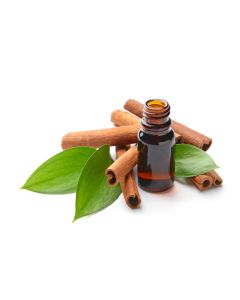 Cinnamon Bark Oil - Organic