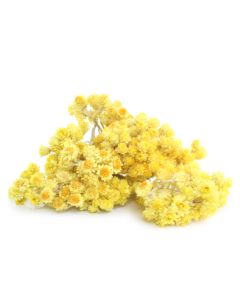 Helichrysum Italicum Oil - Organic
