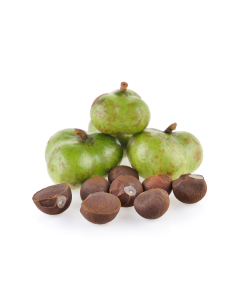 Camellia Oil - Virgin