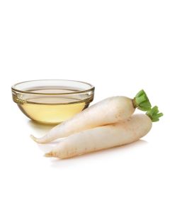 Daikon Seed Extract