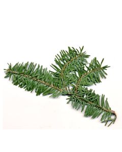 Fir Balsam Oil