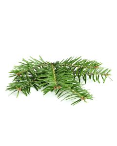 Fir Needle Oil - Siberian