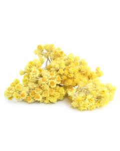 Helichrysum Italicum Oil