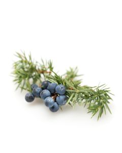 Juniper Berry Oil