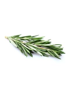 Rosemary Oil