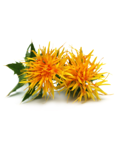Safflower Oil - High Oleic Organic