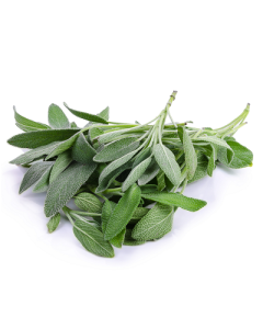 Sage Oil