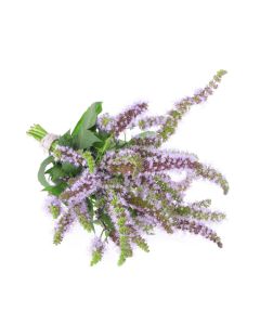 Spearmint Oil - Organic