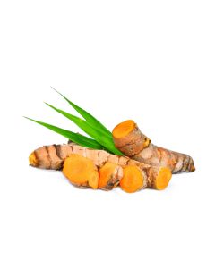 Turmeric Oil - CO2 Extracted 