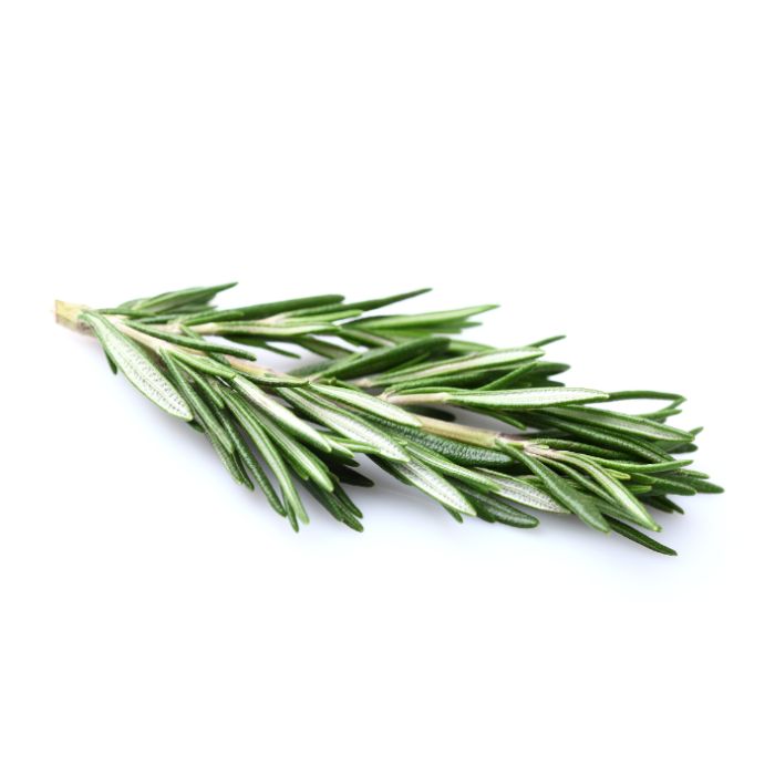 Rosemary Extract - 5% - 10 kg (22 lbs)