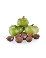 Camellia Oil - Virgin