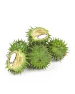 Castor Oil - Cold Pressed Organic