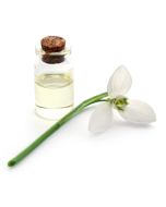 Copaiba Balsam Oil