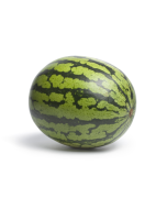 Watermelon Seed Oil - Virgin Organic