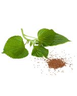 Perilla Seed Oil - Organic
