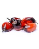 Red Palm Oil - Virgin Organic