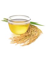 Rice Bran Oil - RBDW