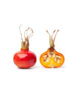 Rosehip Oil