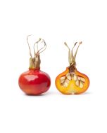 Rosehip Oil - Virgin