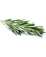 Rosemary Oil - Verbenone