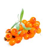 Sea Buckthorn Fruit Oil - Virgin Organic