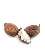 Shea Nut Butter - Virgin Organic - 20 kg (44 lbs)