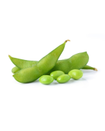 Soy Lecithin - Liquid Non-GMO