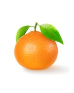 Tangerine Oil - Cold Pressed