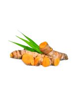 Turmeric Oil - Steam Distilled