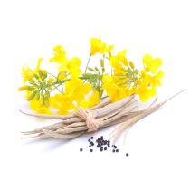 Canola Oil - Non-GMO