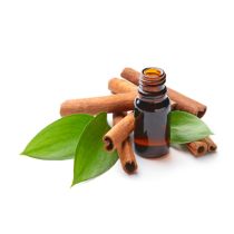 Cinnamon Bark Oil - Organic
