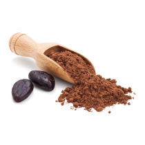Cocoa Powder Natural 10/12 Fat - Organic