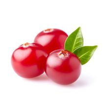 Cranberry Seed Oil - Virgin Organic