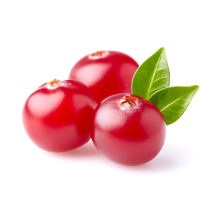 Cranberry Seed Oil - Virgin