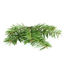 Fir Needle Oil - Siberian