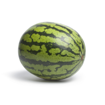 Watermelon Seed Oil - Virgin 